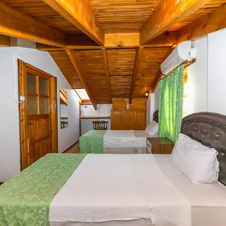 Soeguet Marmaris Villa *